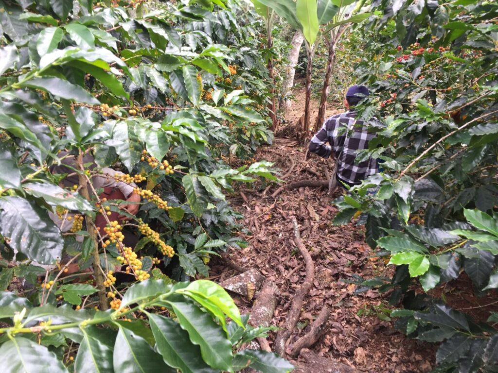 WhatsApp Image 2023-05-15 at 17.03.28 (1)