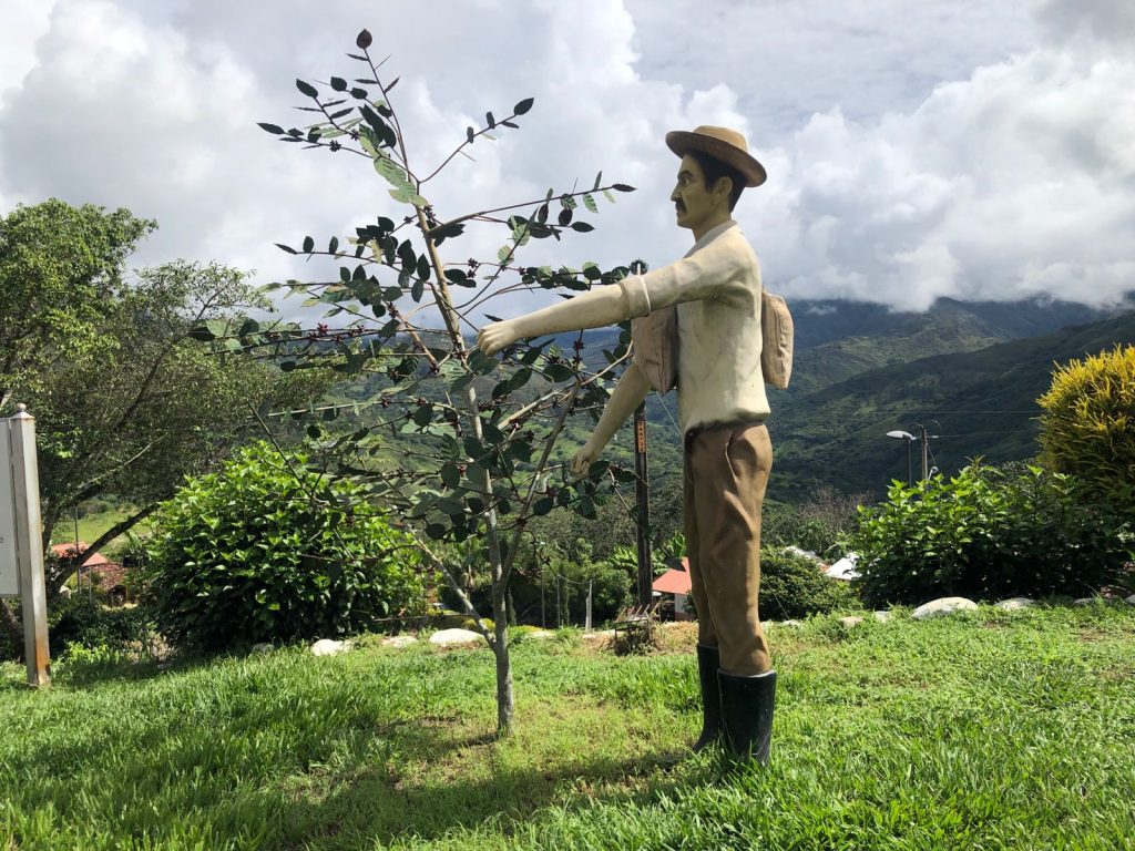 WhatsApp Image 2024-02-02 at 08.12.41